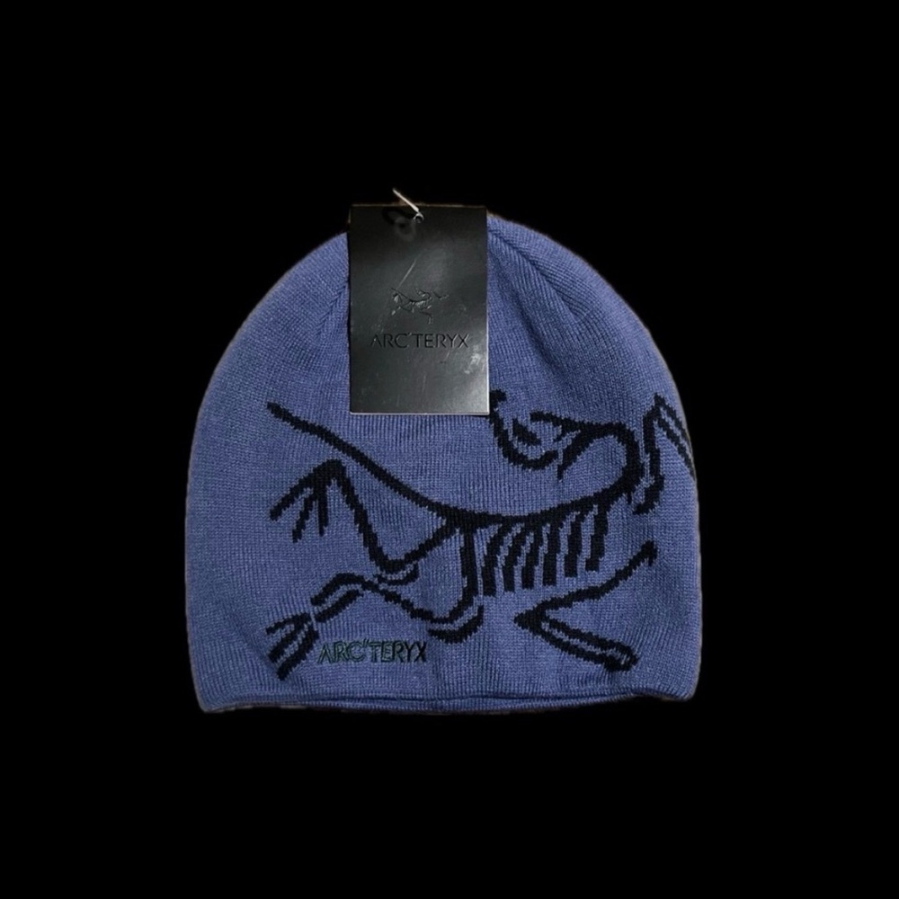 Arc’teryx beanie blue